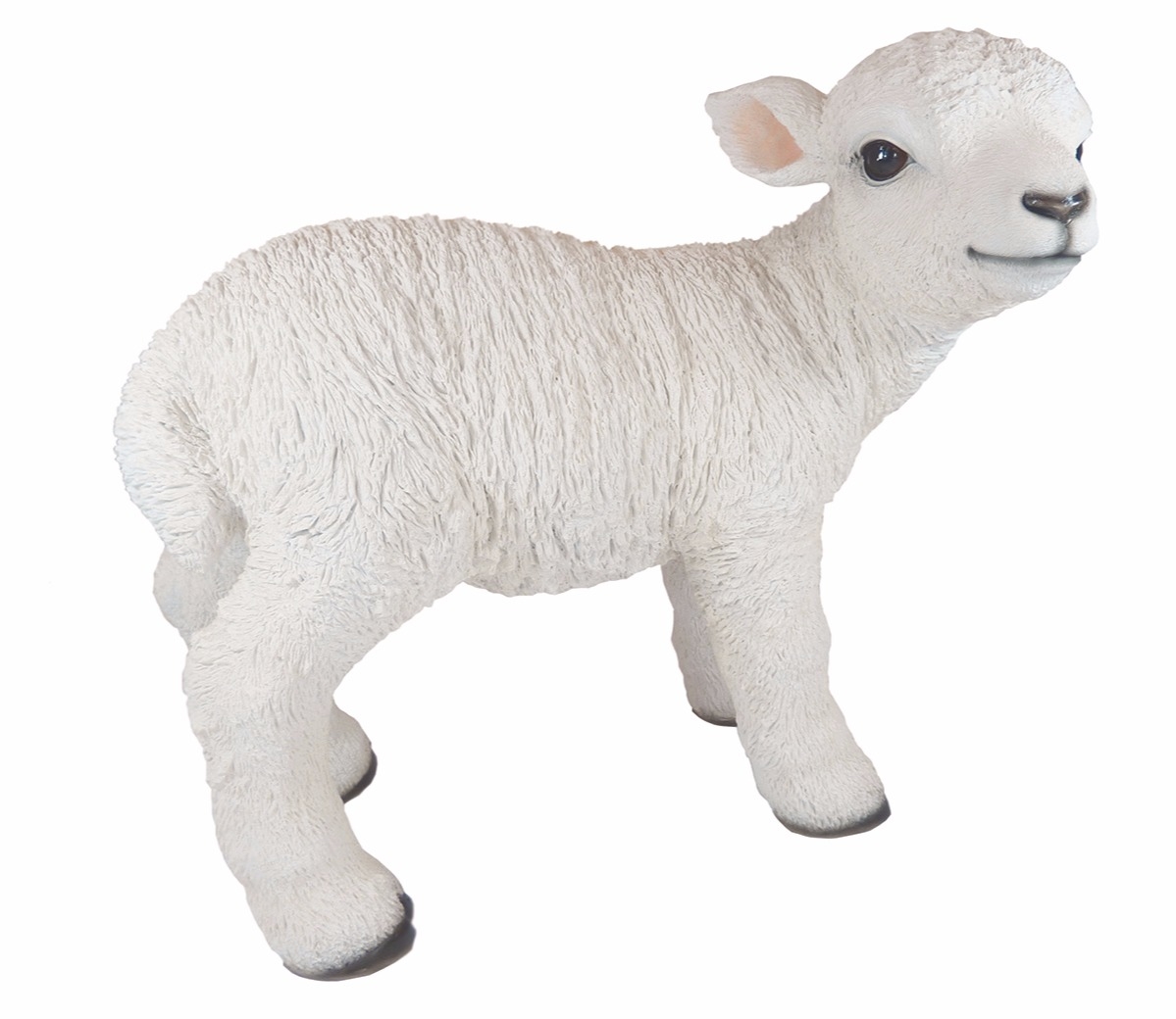 Size A Vivid Arts Real Life Lamb 
