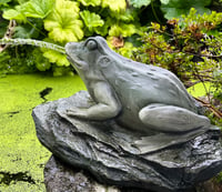 Bermuda Frog On Lilypad Pond Spitter