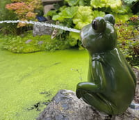 Bermuda Frog Pond Spitter
