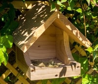 Blackbird Nesting Box