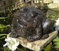 Bull Frog Metal Ornament