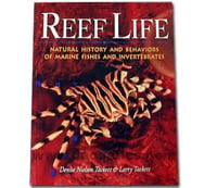 Reef Life by Denise Nielsen Tackett and Larry Tackett
