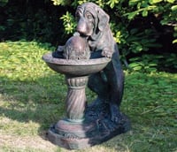 Dog at Fountain Water Feature