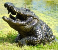 Half Alligator Ornament