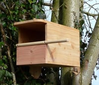 Kestrel Nesting Box