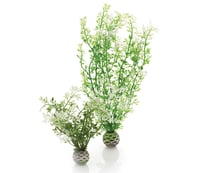 biOrb Easy Plant Accessory Pack (2) Medium - White Leaf