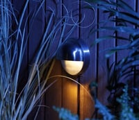 Palm Stainless Steel Garden Light