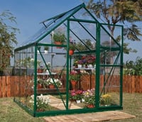 Palram Canopia Harmony 6 x 6 ft Green Greenhouse