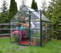 Palram Canopia Harmony 6 x 8 ft Green Greenhouse