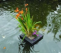 PondXpert Square Floating Planter 25cm