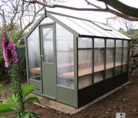Swallow Kingfisher 6 x 12 ft ThermoWood Greenhouse