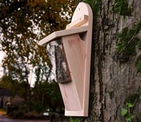 Tree Creeper Nesting Box