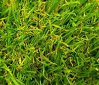 Verde Hometurf 25mm Artificial Grass