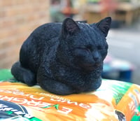 Vivid Arts Dreaming Black Cat Ornament