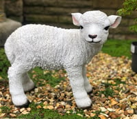 Vivid Arts Life Size Lamb Ornament