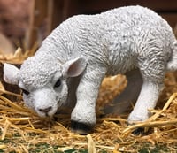 Vivid Arts Small Lamb Ornament