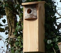 Woodpecker Nesting Box