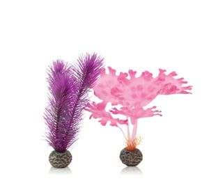 biOrb Kelp Plant Pack - Pink