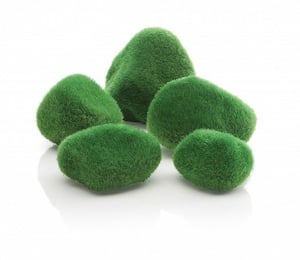biOrb Moss Pebbles (5 Pack)