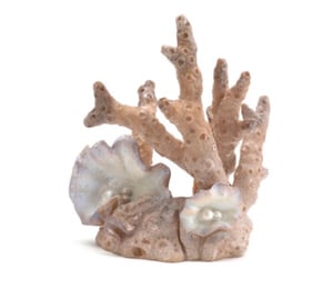 Samuel Baker Aquarium Sculptures - Coral (Small)