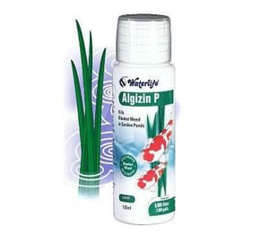 WaterLife Alginzin P 125ml - Blanket Weed Treatment
