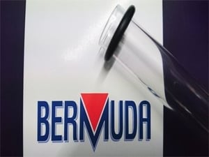 Bermuda Quartz Tube and O Rings 