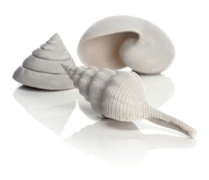 biOrb Aquarium Sea Shells