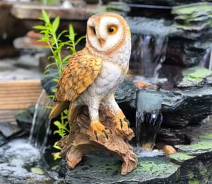 Brown and White Barn Owl by Vivid Arts