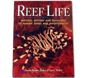 Reef Life by Denise Nielsen Tackett and Larry Tackett