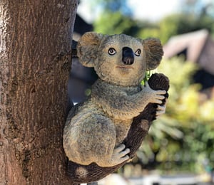Design Toscano Kouta, the Climbing Koala
