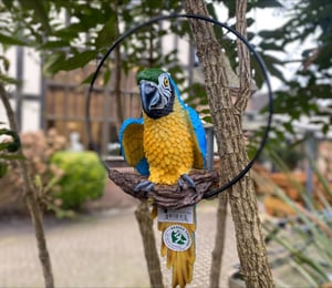 Design Toscano -  Medium Polly in Paradise Parrot 