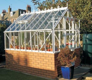Elite Thyme 6 Greenhouse 6 x 6 ft