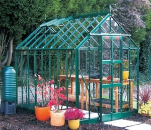 Elite Thyme 6 Greenhouse 6 x 8 ft 