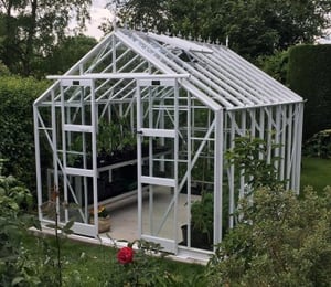 Elite Thyme 8 Greenhouse 8 x 8 ft