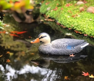 Female Duck Floating Ornament