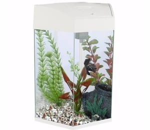 Fish R Fun 21L Hexagonal Aquarium Tank