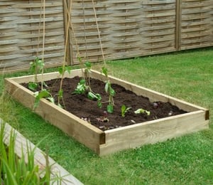 Forest Caledonian Large Raised Bed