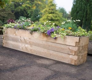 Forest Caledonian Raised Bed