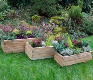 Forest Durham Planters (Set of 3)