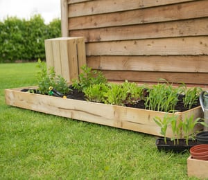 Forest Standard Raised Bed