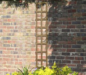 Forest Traditional 1 x 6 ft Trellis
