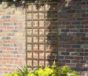 Forest Traditional 3 x 6 ft Trellis