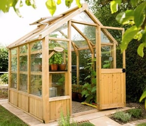 Forest Vale 6 x 8 ft Victorian Greenhouse