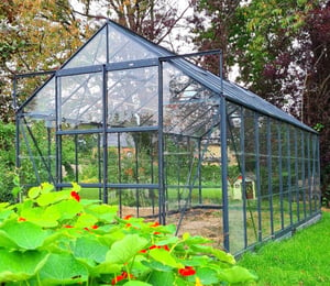 Grand 8 x 16 ft Green Greenhouse Package