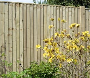 Grange Weston Featheredge 6 x 6 ft Fence Panel