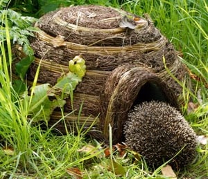 Igloo Hedgehog Home