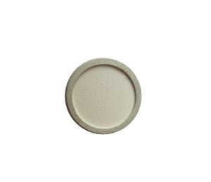 Ista Ceramic Disc for CO2 Diffuser