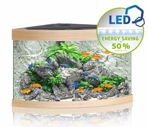 Juwel Trigon 190 LED Aquarium