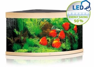 Juwel Trigon 350 LED Aquarium