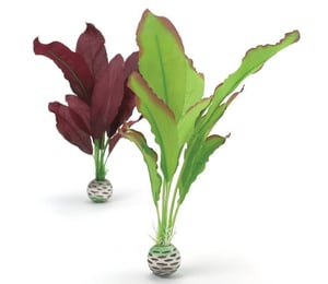 biOrb Silk Plant (Red/Green Medium)